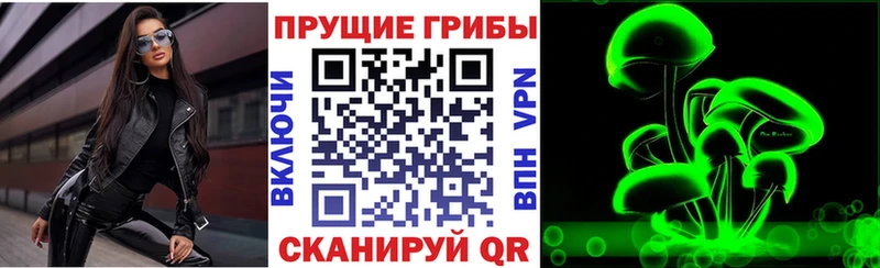 Псилоцибиновые грибы GOLDEN TEACHER  Купить где  Великий Устюг 